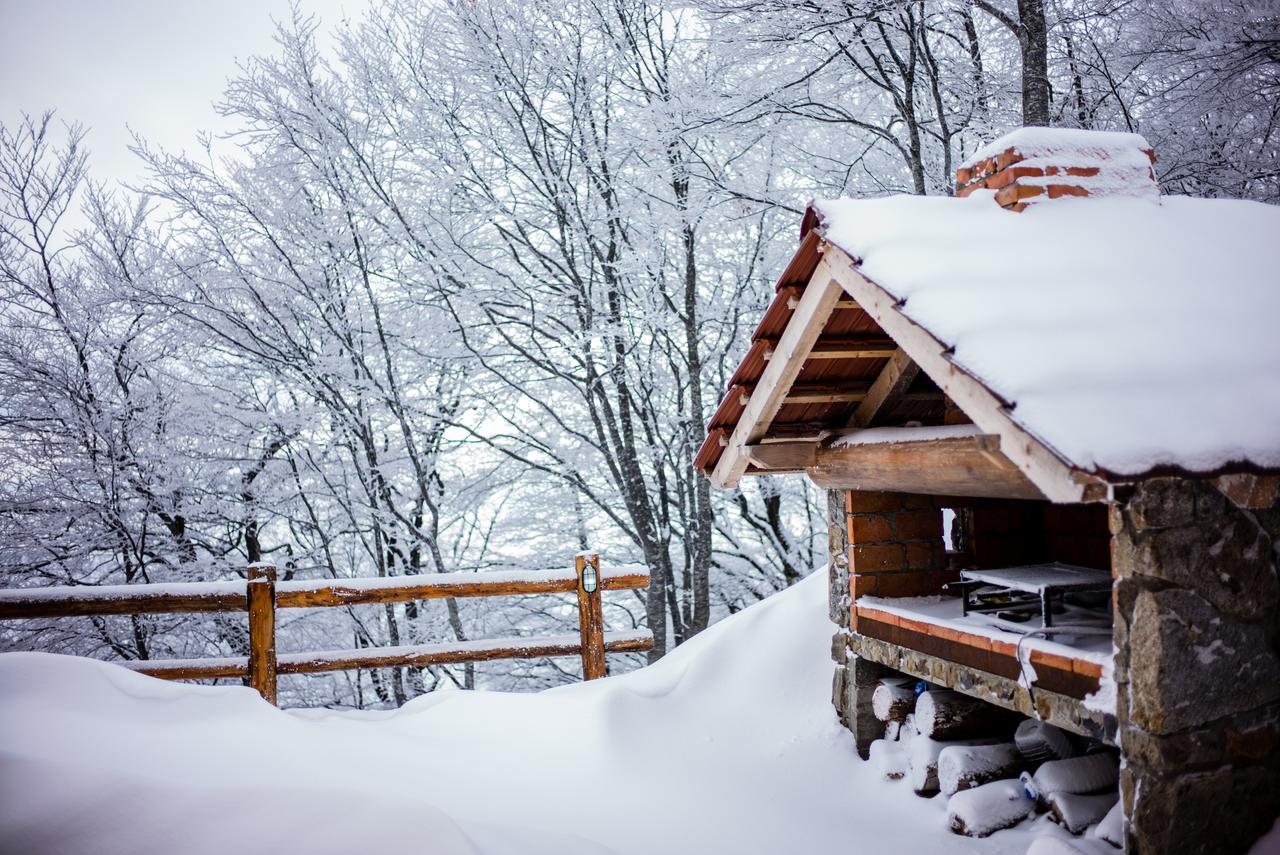 Holiday Home Floris Kopaonik Exterior photo